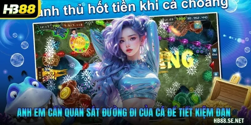 Anh em cần quan sát đường đi của cá để tiết kiệm đạn
